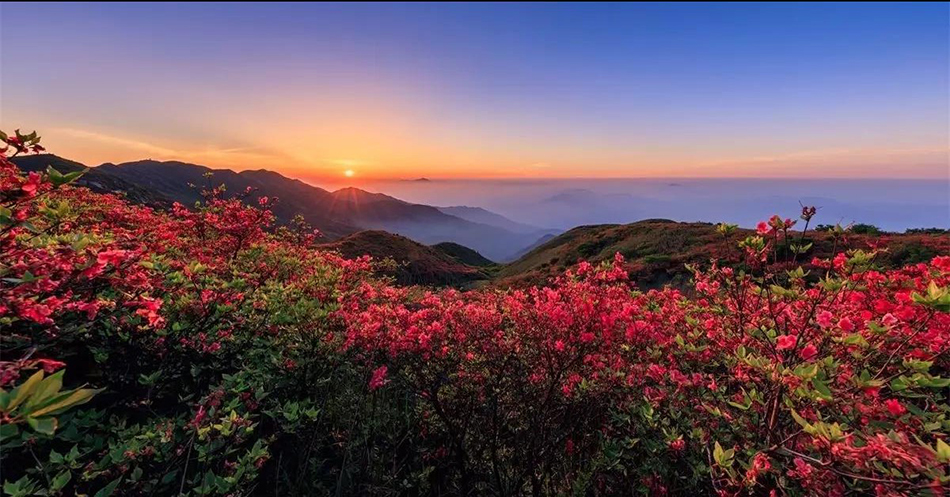 1277星际电子(中国游)官方游戏网址