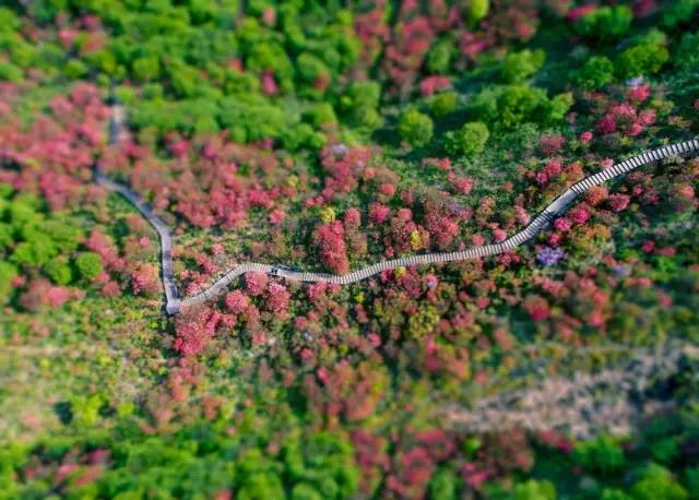 1277星际电子(中国游)官方游戏网址