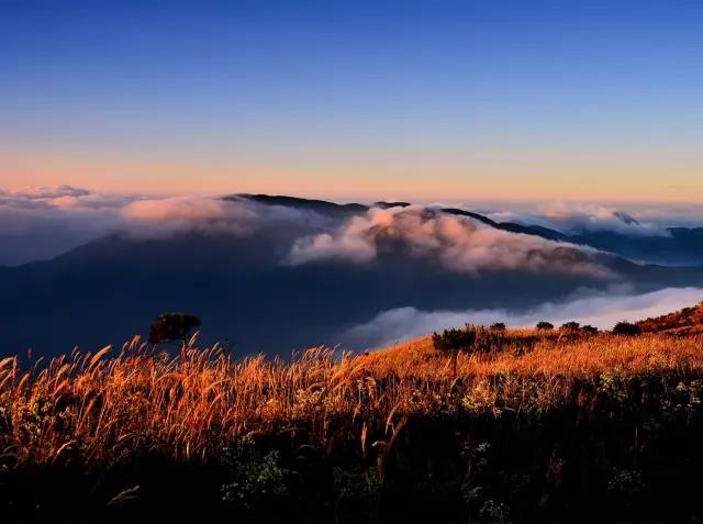 1277星际电子(中国游)官方游戏网址