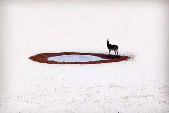 1277星际电子(中国游)官方游戏网址