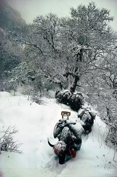 1277星际电子(中国游)官方游戏网址