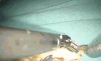 1277星际电子(中国游)官方游戏网址