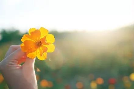 1277星际电子(中国游)官方游戏网址