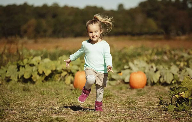 1277星际电子(中国游)官方游戏网址