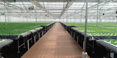 1277星际电子(中国游)官方游戏网址