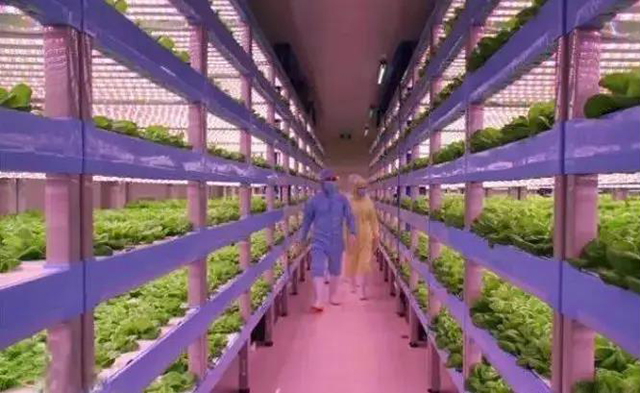 1277星际电子(中国游)官方游戏网址