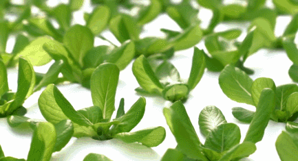 1277星际电子(中国游)官方游戏网址