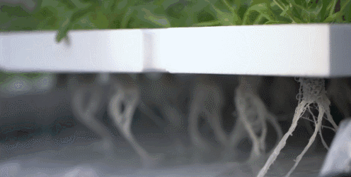 1277星际电子(中国游)官方游戏网址