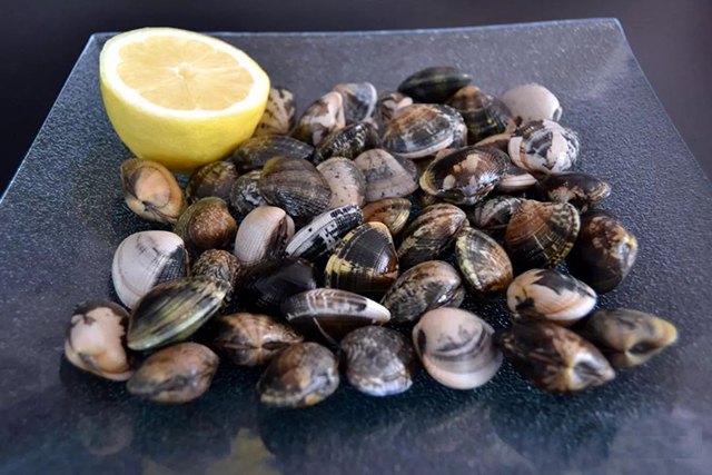 1277星际电子(中国游)官方游戏网址