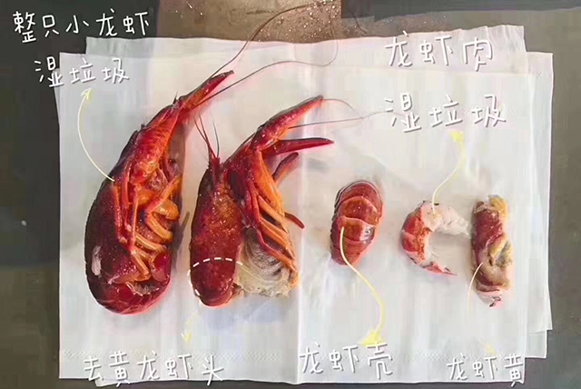 1277星际电子(中国游)官方游戏网址